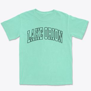 Lake Orion Michigan Trendy Block Premium Heavyweight T-shirt