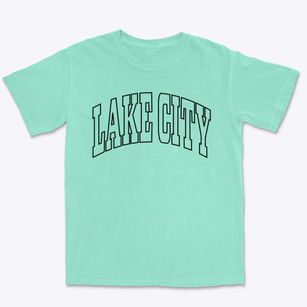 Lake City Arkansas Trendy Block Premium Heavyweight T-shirt