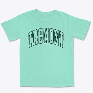 Tremont Illinois Trendy Block Premium Heavyweight T-shirt