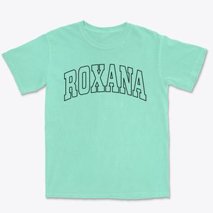 Roxana Illinois Trendy Block Premium Heavyweight T-shirt