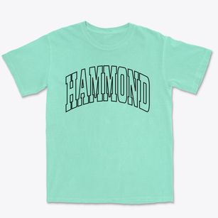 Hammond New York Trendy Block Premium Heavyweight T-shirt