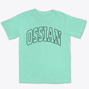 Ossian New York Trendy Block Premium Heavyweight T-shirt