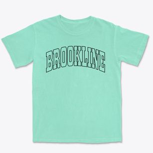 Brookline Vermont Trendy Block Premium Heavyweight T-shirt