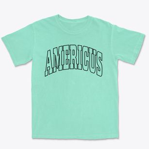 Americus Indiana Trendy Block Premium Heavyweight T-shirt