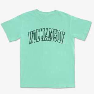 Williamson Illinois Trendy Block Premium Heavyweight T-shirt