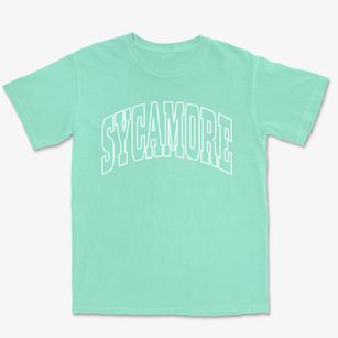 Sycamore Oklahoma Trendy Block Premium Heavyweight T-shirt