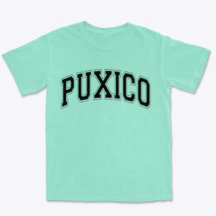 Puxico Missouri Varsity Premium Heavyweight T-shirt