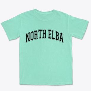 North Elba New York Varsity Premium Heavyweight T-shirt