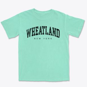 Wheatland New York Urban Vibe Premium Heavyweight T-shirt