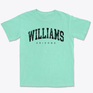 Williams Arizona Urban Vibe Premium Heavyweight T-shirt