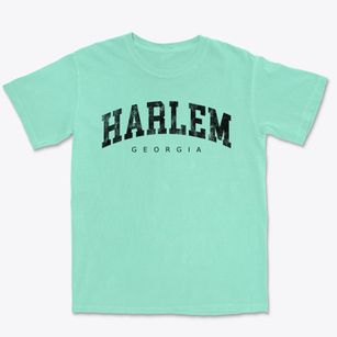 Harlem Georgia Urban Vibe Premium Heavyweight T-shirt