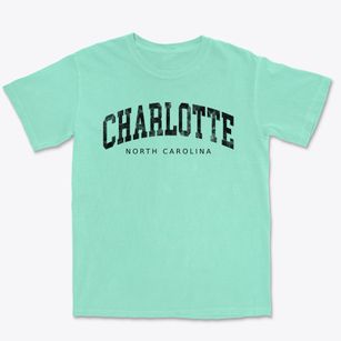 Charlotte North Carolina Urban Vibe Premium Heavyweight T-shirt