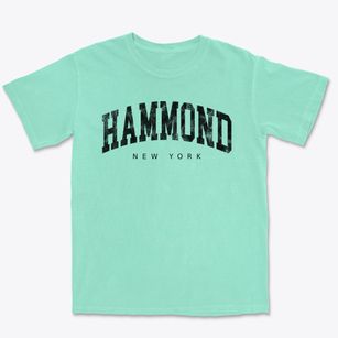 Hammond New York Urban Vibe Premium Heavyweight T-shirt