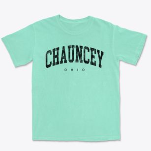 Chauncey Ohio Urban Vibe Premium Heavyweight T-shirt