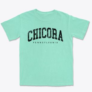 Chicora Pennsylvania Urban Vibe Premium Heavyweight T-shirt