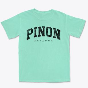 Pinon Arizona Urban Vibe Premium Heavyweight T-shirt