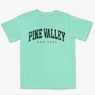 Pine Valley New York Urban Vibe Premium Heavyweight T-shirt