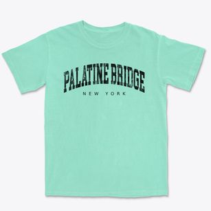 Palatine Bridge New York Urban Vibe Premium Heavyweight T-shirt