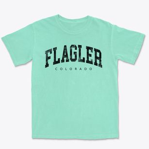 Flagler Colorado Urban Vibe Premium Heavyweight T-shirt