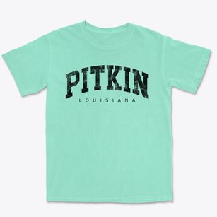 Pitkin Louisiana Urban Vibe Premium Heavyweight T-shirt