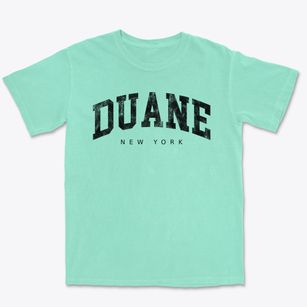 Duane New York Urban Vibe Premium Heavyweight T-shirt