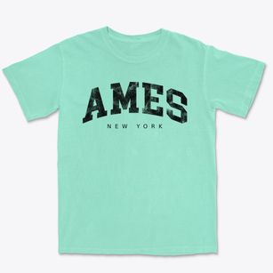 Ames New York Urban Vibe Premium Heavyweight T-shirt