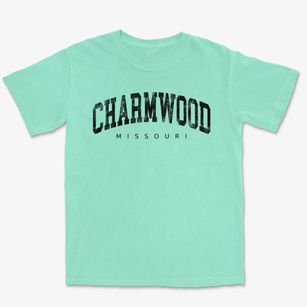 Charmwood Missouri Urban Vibe Premium Heavyweight T-shirt