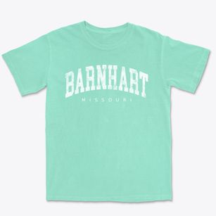 Barnhart Missouri Urban Vibe Premium Heavyweight T-shirt