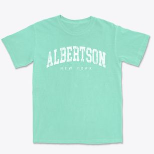 Albertson New York Urban Vibe Premium Heavyweight T-shirt