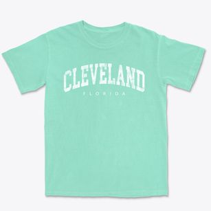 Cleveland Florida Urban Vibe Premium Heavyweight T-shirt