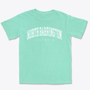 North Barrington Illinois Urban Vibe Premium Heavyweight T-shirt