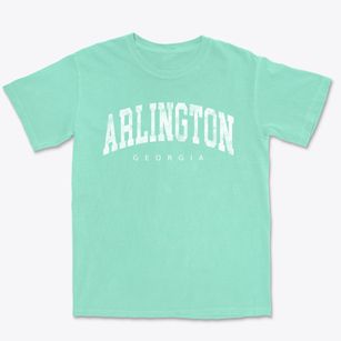 Arlington Georgia Urban Vibe Premium Heavyweight T-shirt