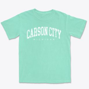Carson City Michigan Urban Vibe Premium Heavyweight T-shirt