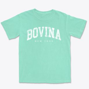 Bovina New York Urban Vibe Premium Heavyweight T-shirt