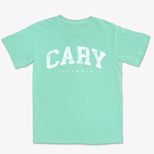 Cary Illinois Urban Vibe Premium Heavyweight T-shirt