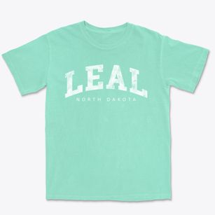 Leal North Dakota Urban Vibe Premium Heavyweight T-shirt