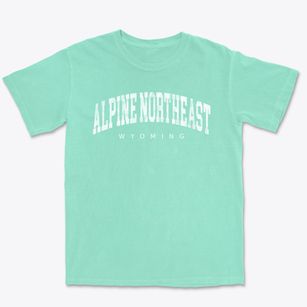 Alpine Northeast Wyoming Urban Vibe Premium Heavyweight T-shirt