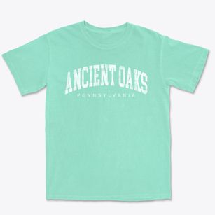 Ancient Oaks Pennsylvania Urban Vibe Premium Heavyweight T-shirt