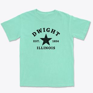 Dwight Illinois Star Premium Heavyweight T-shirt