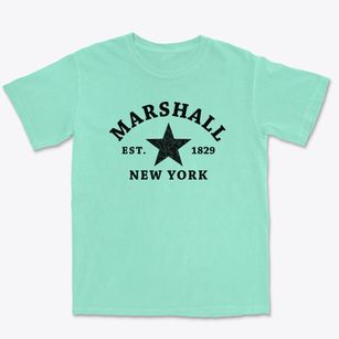 Marshall New York Star Premium Heavyweight T-shirt