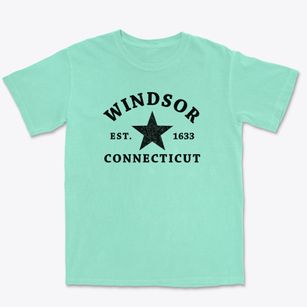 Windsor Connecticut Star Premium Heavyweight T-shirt