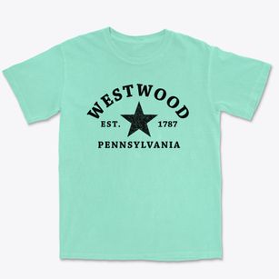 Westwood Pennsylvania Star Premium Heavyweight T-shirt