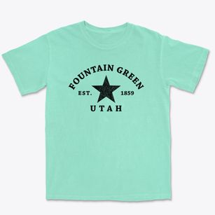 Fountain Green Utah Star Premium Heavyweight T-shirt