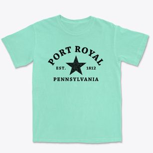 Port Royal Pennsylvania Star Premium Heavyweight T-shirt