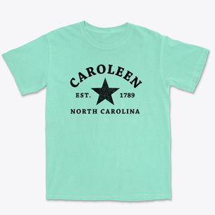 Caroleen North Carolina Star Premium Heavyweight T-shirt