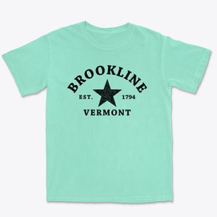 Brookline Vermont Star Premium Heavyweight T-shirt