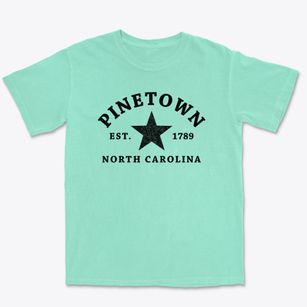 Pinetown North Carolina Star Premium Heavyweight T-shirt