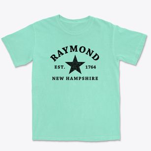 Raymond New Hampshire Star Premium Heavyweight T-shirt