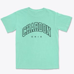 Chardon Ohio Inline Premium Heavyweight T-shirt