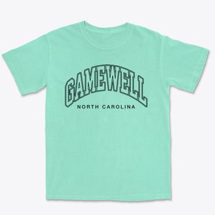 Gamewell North Carolina Inline Premium Heavyweight T-shirt